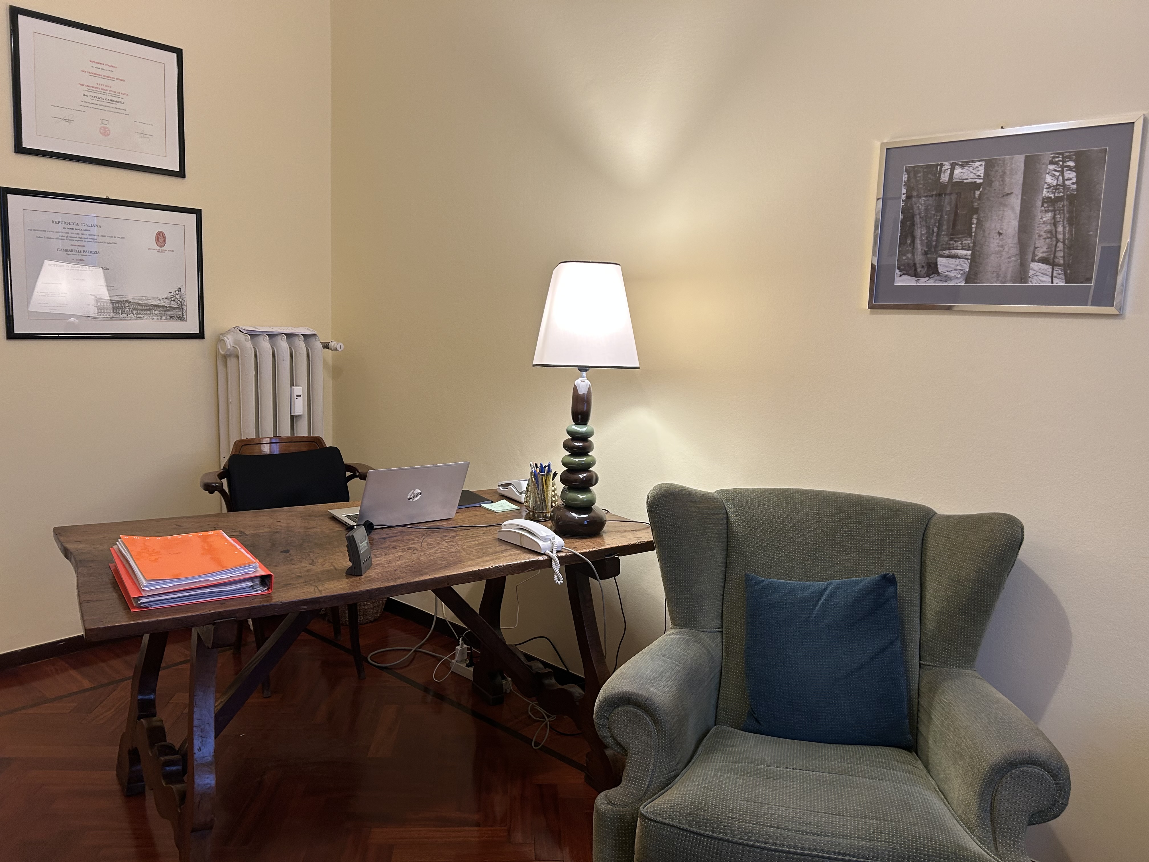 Dettaglio dello studio